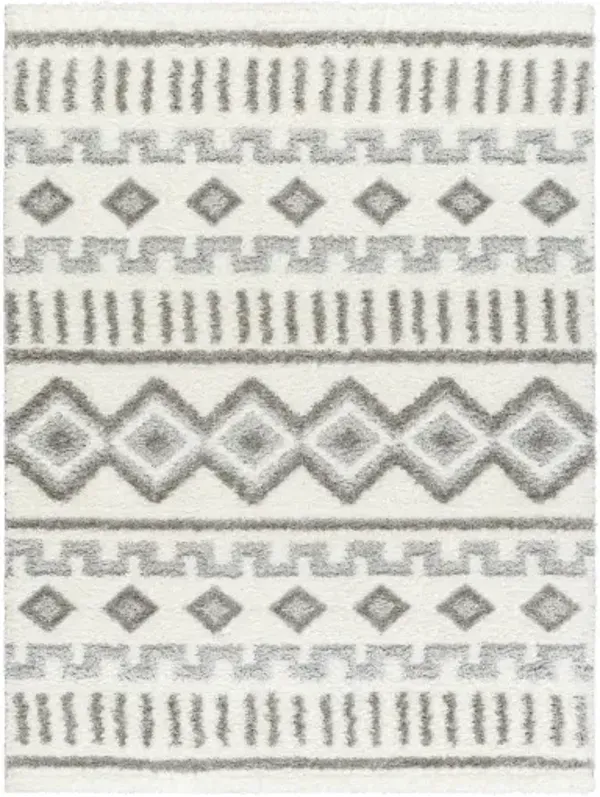 Nomadic NMC-2302 5'3" x 7' Machine Woven Rug