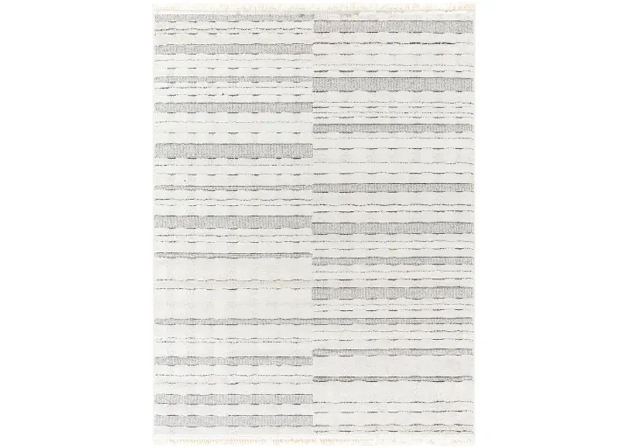 Berlin BLR-2314 6'7" x 9' Machine Woven Rug