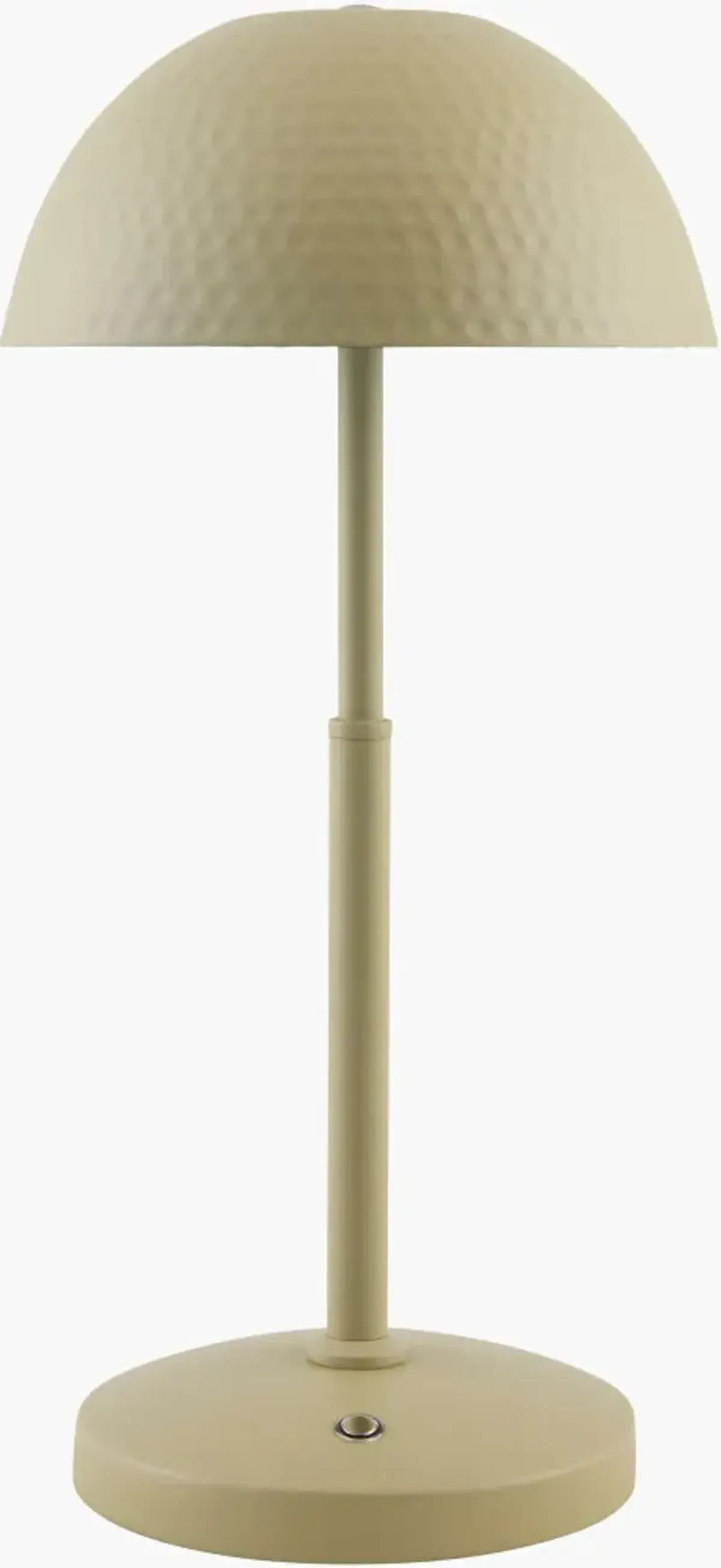 Elvas 15"H x 7"W x 7"D Accent Table Lamp