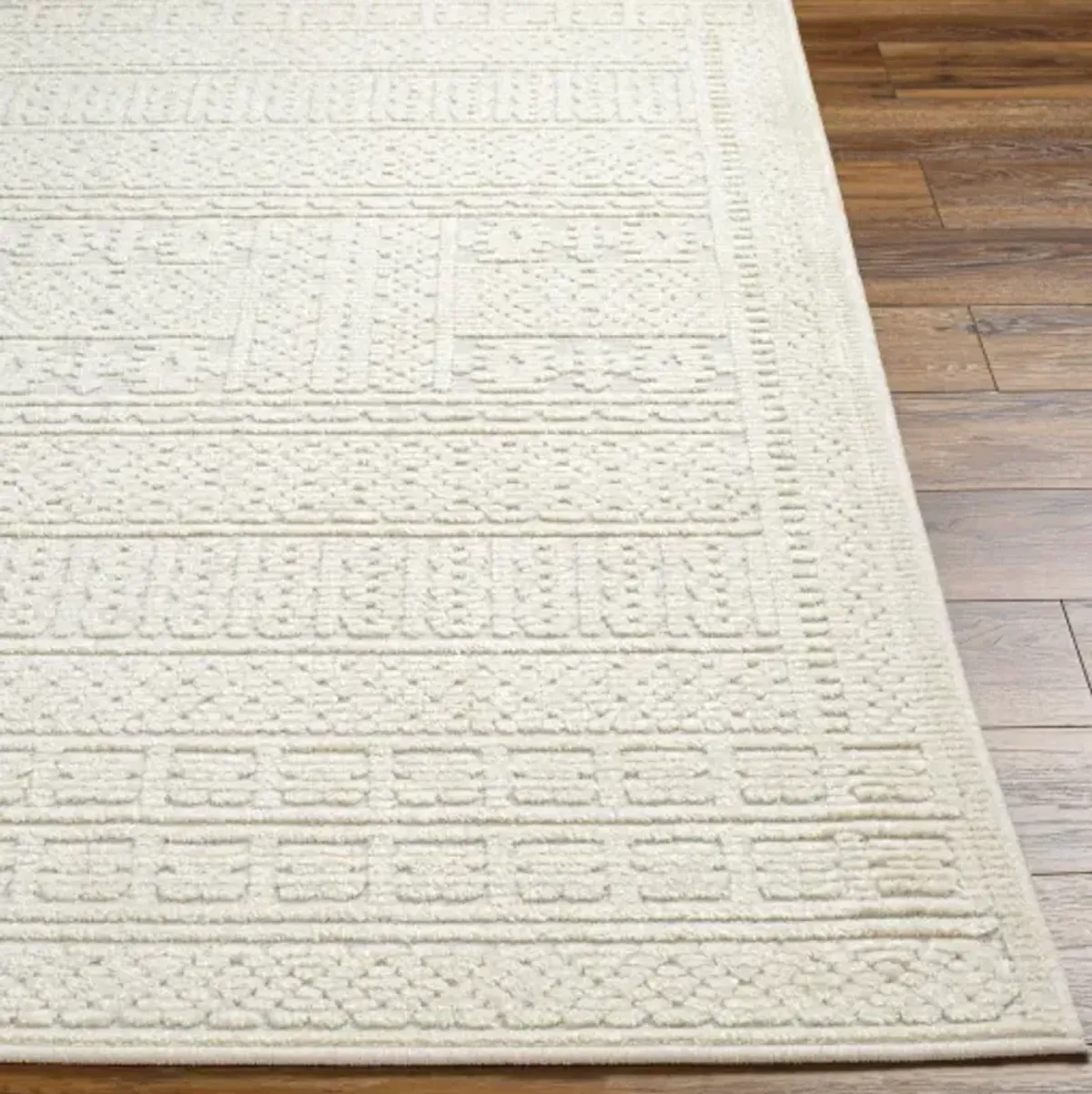 Lyna LYA-2301 3'3" x 5' Machine Woven Rug