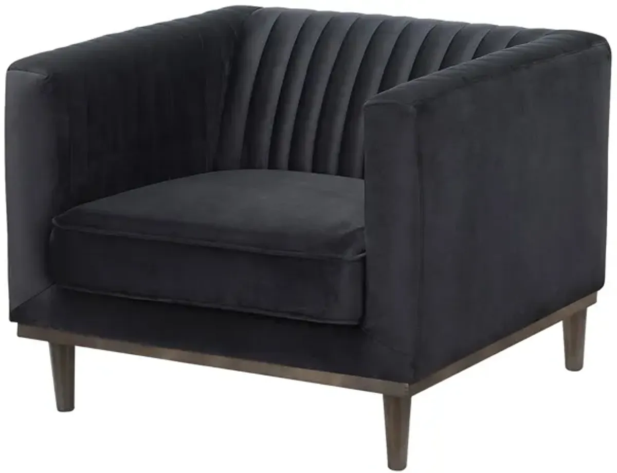 Sage Club Chair - Black Velvet