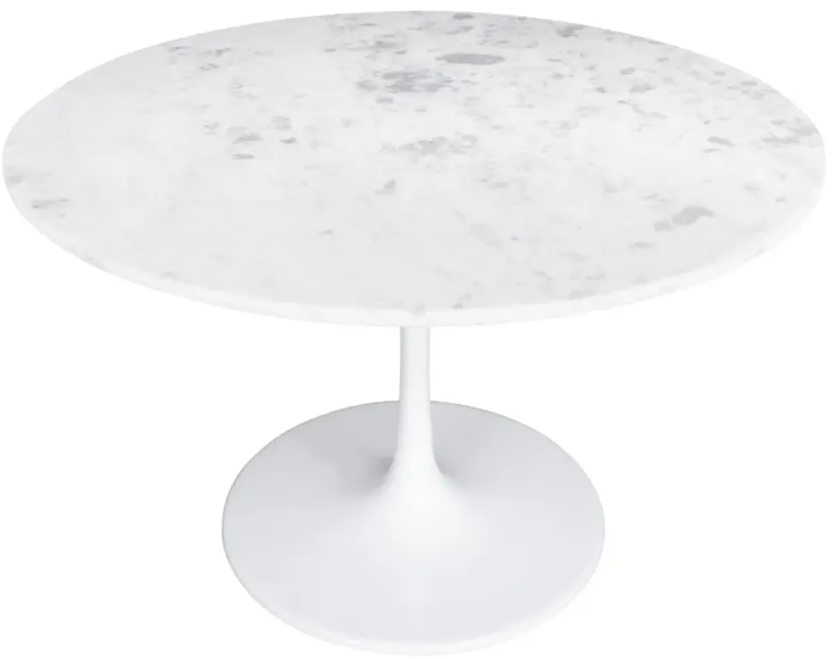 Phoenix Dining Table White