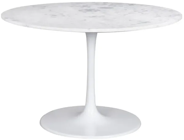 Phoenix Dining Table White