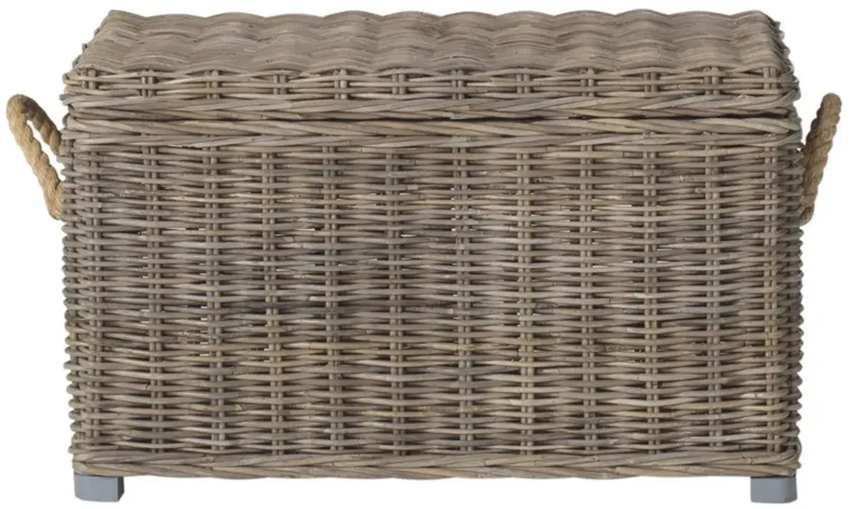 SALIM WICKER TRUNK