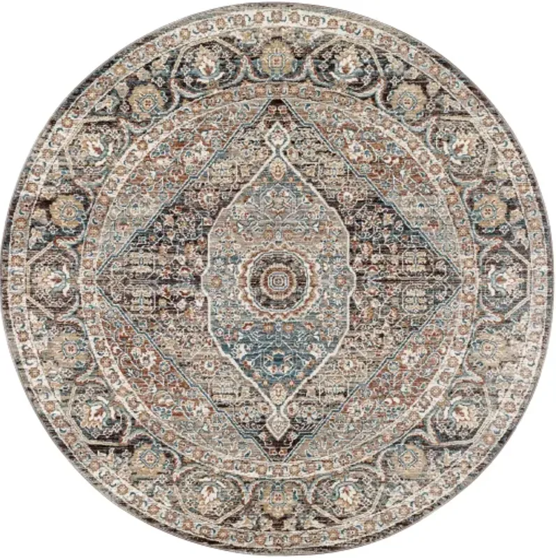 Carlisle CSI-2307 2'11" x 10' Rug