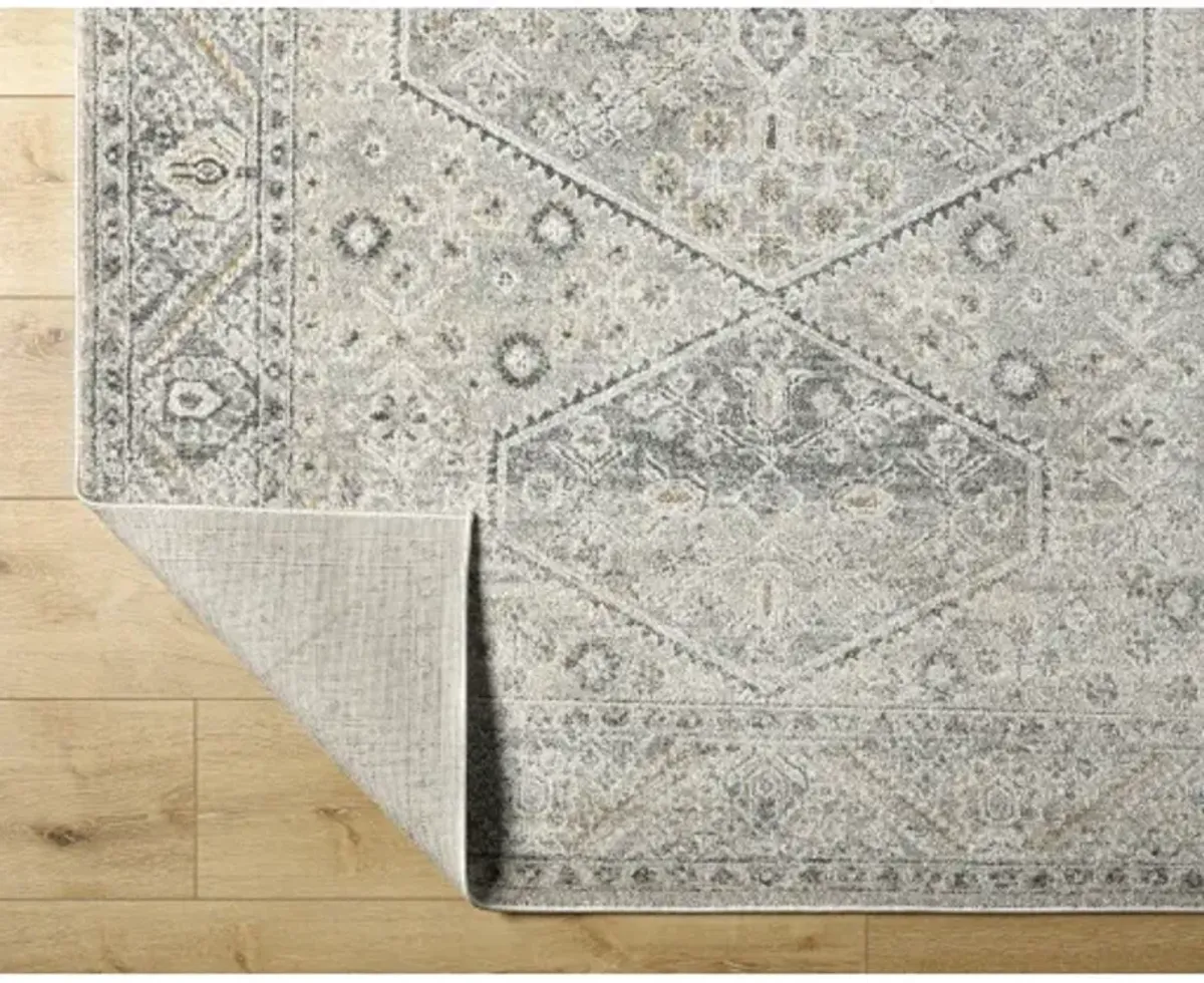 Alpharetta APH-2314 9'2" x 12' Machine Woven Rug