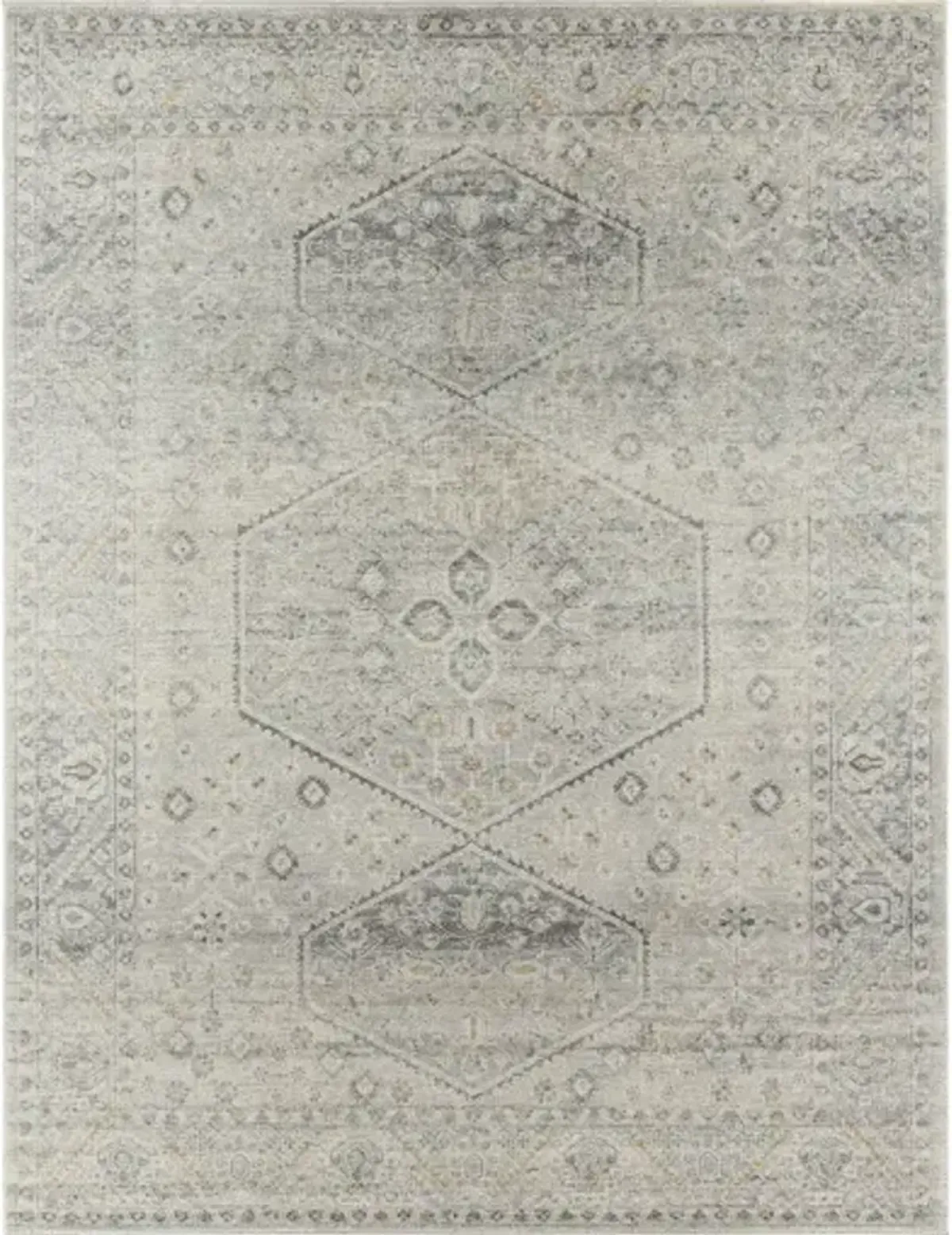 Alpharetta APH-2314 9'2" x 12' Machine Woven Rug