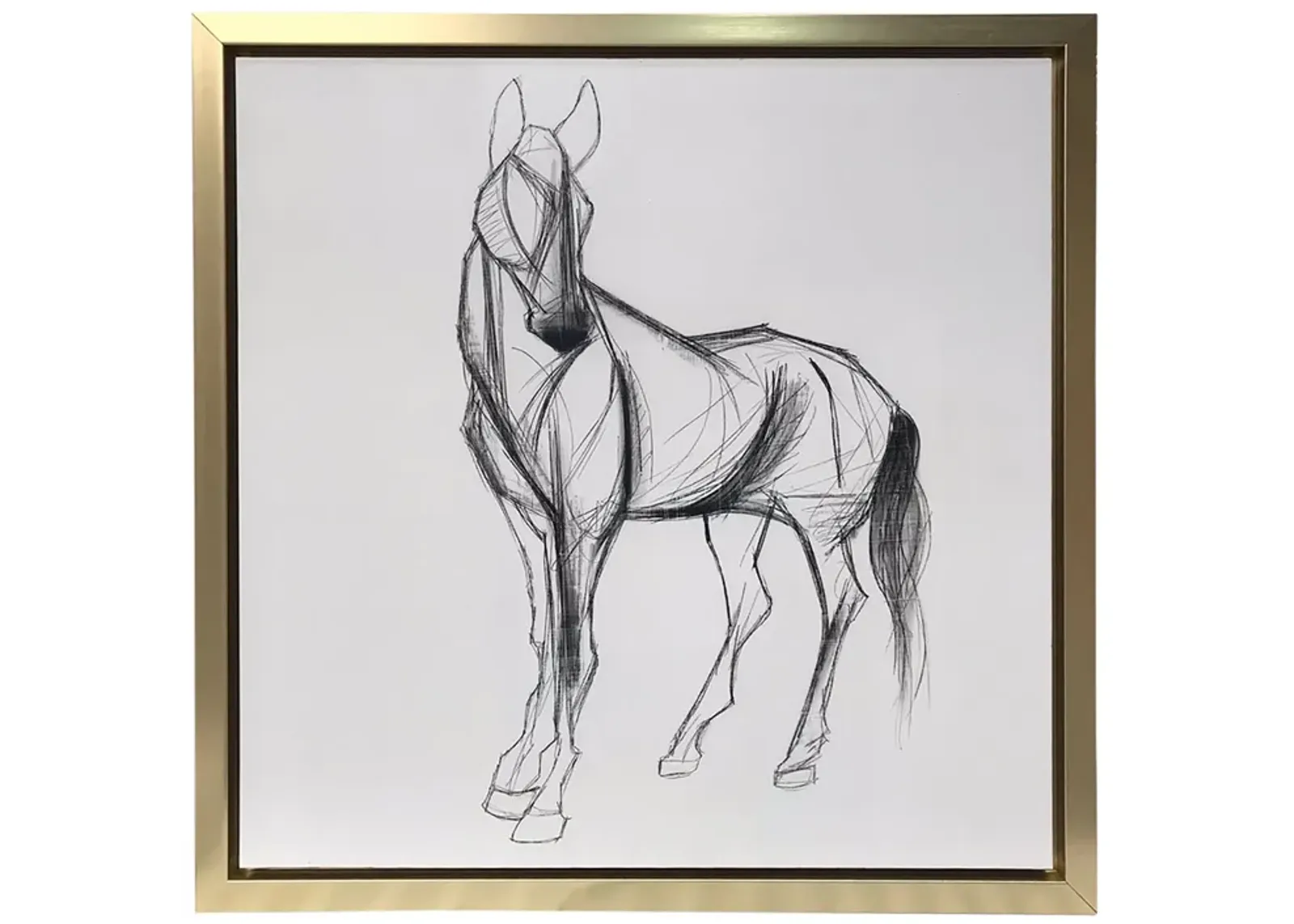 47x47, Hand Painted Elegant Horse Sketch, Blk/wht