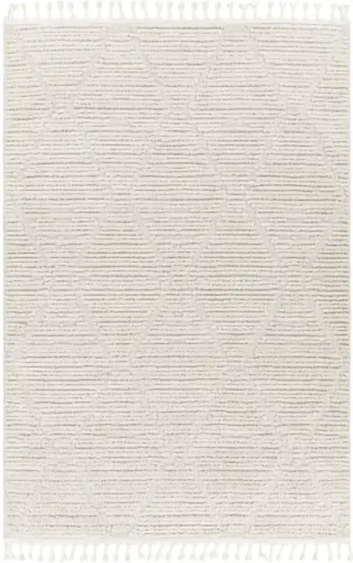 Azilal 5'3" x 7' Rug