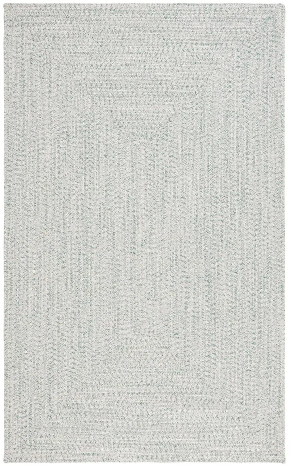 BRAIDED Hand Woven 4' x 6' area rug