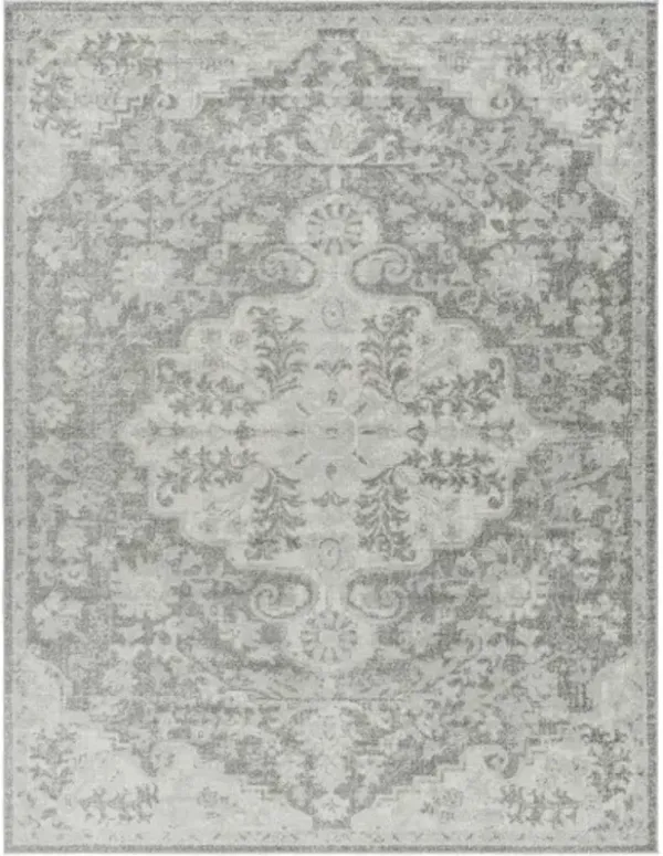 Harput 9' x 12'6" Rug