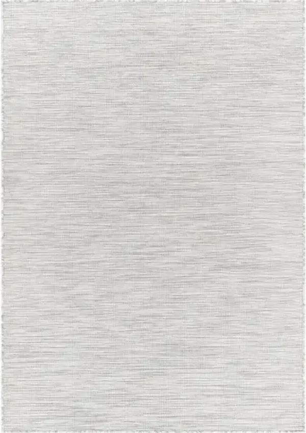 Pasadena 2'6" x 4' Rug