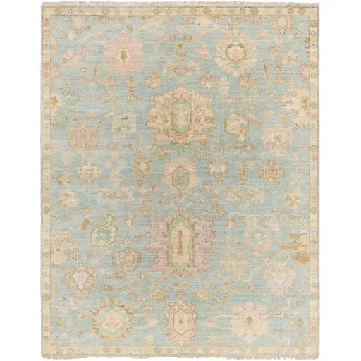 Antalya AAT-2310 10' x 14' Handmade Rug