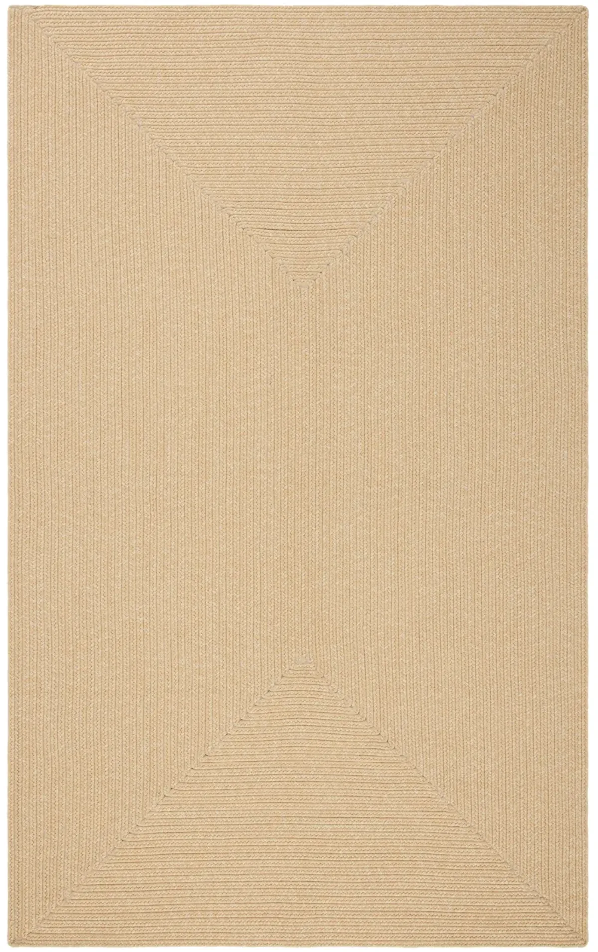 BRAIDED Hand Woven 10' x 14' area rug