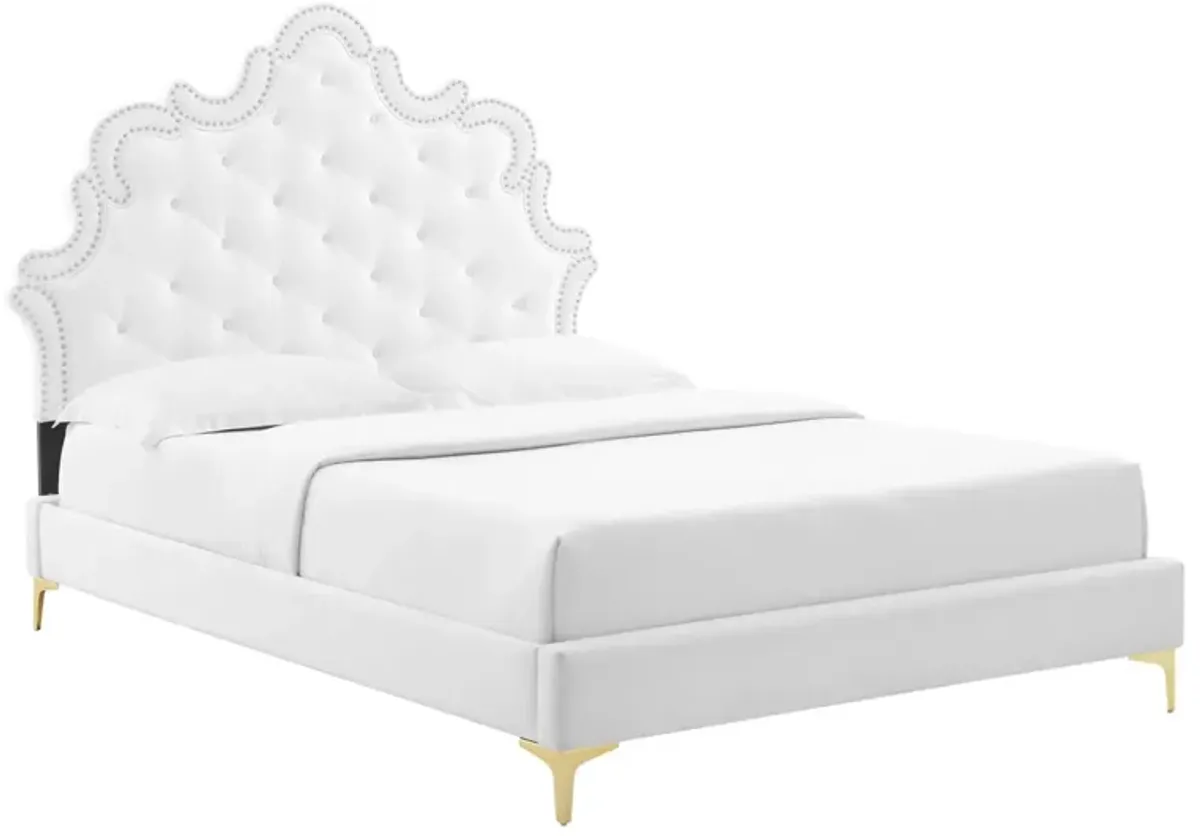 Sasha Button-Tufted Performance Velvet King Bed