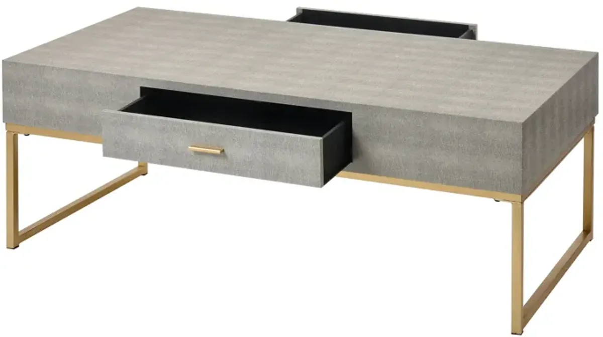 Les Revoires Coffee Table - Gray