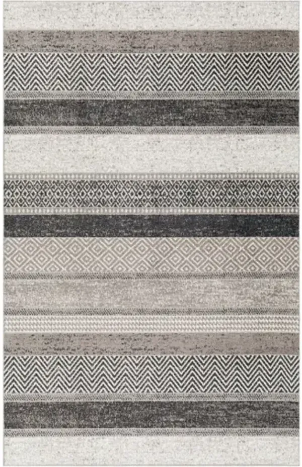 Lavadora 5'3" x 7' Rug