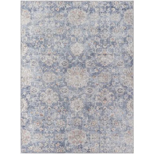 Downtown DTW-2322 2'2" x 3'9" Machine Woven Rug