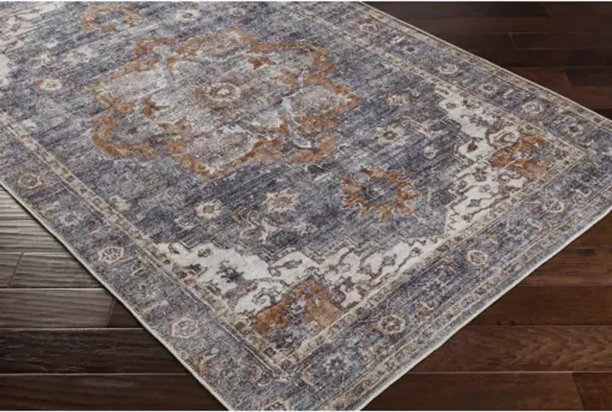 Tahmis 8'10" x 12' Rug