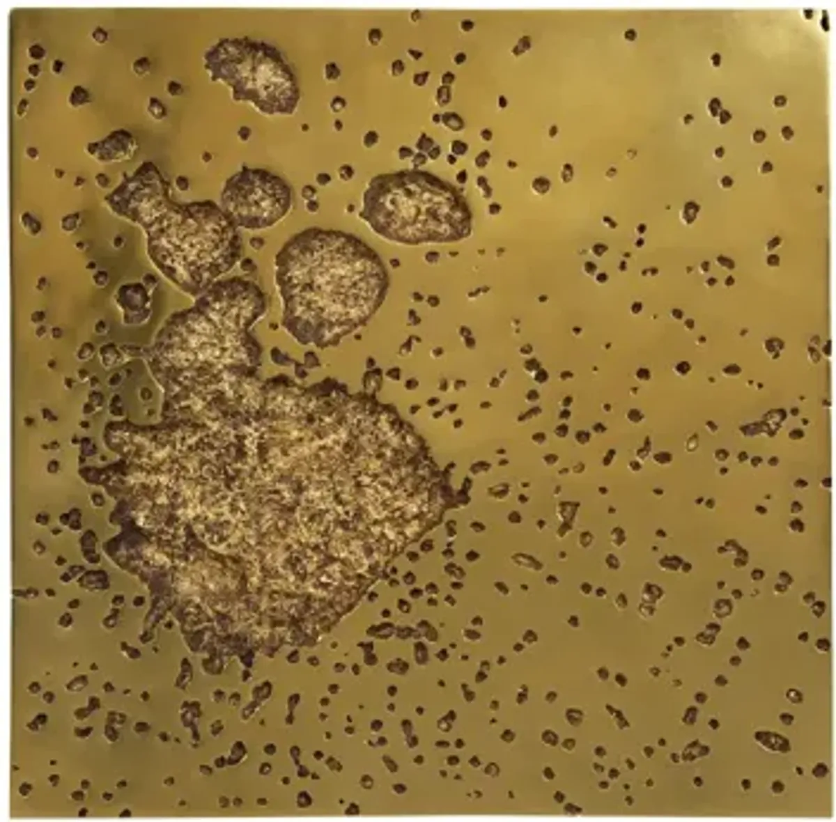 Splotch Wall Art, Square, Gold Leaf