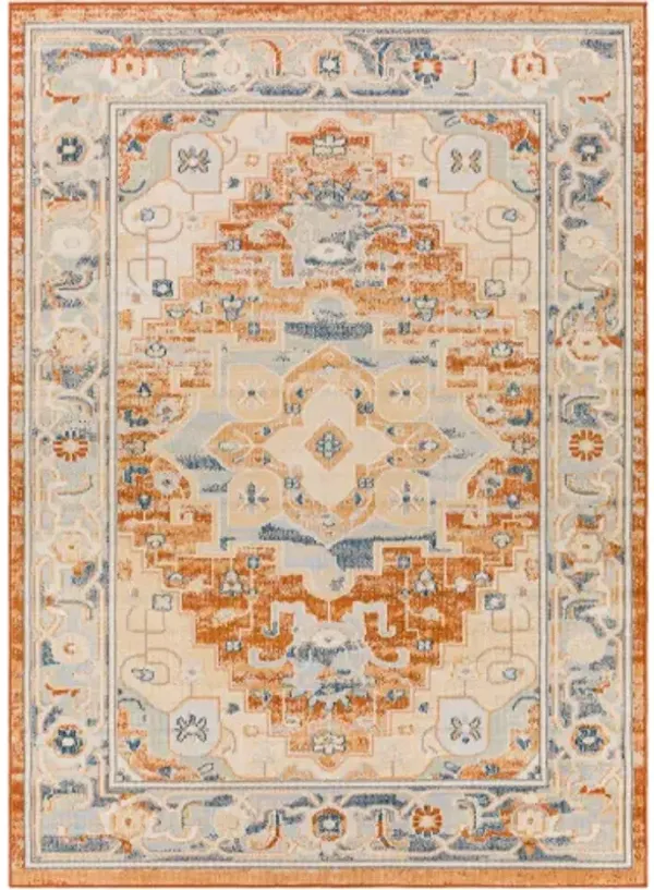 Pisa 6'7" x 9' Rug