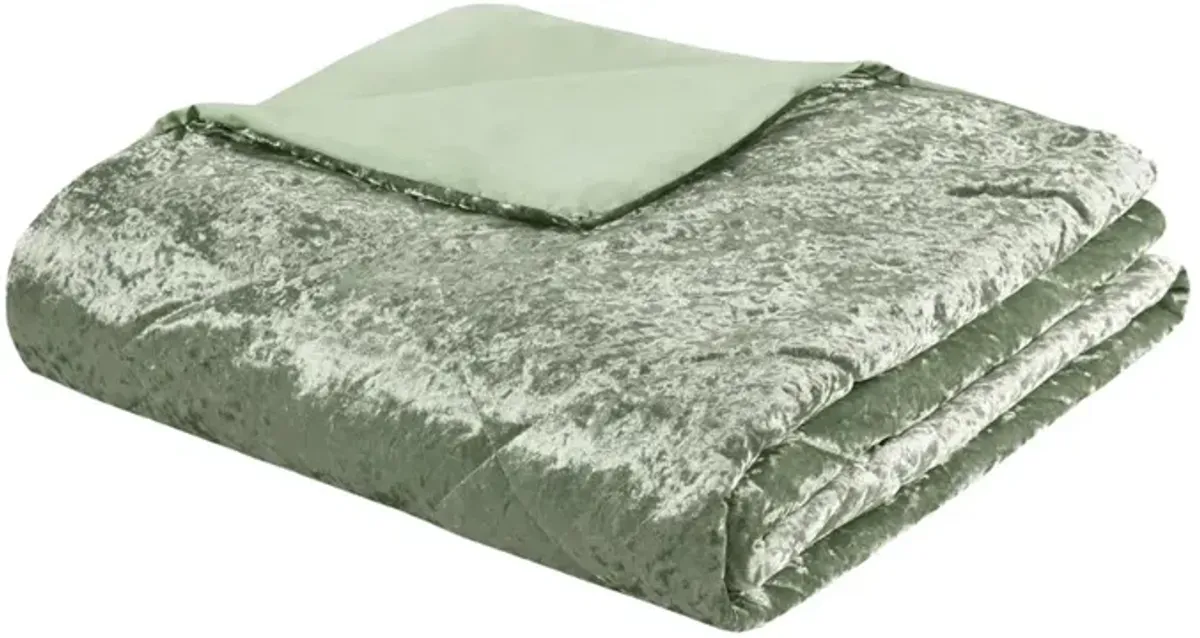 Velvet Duvet Cover Set with Throw Pillow