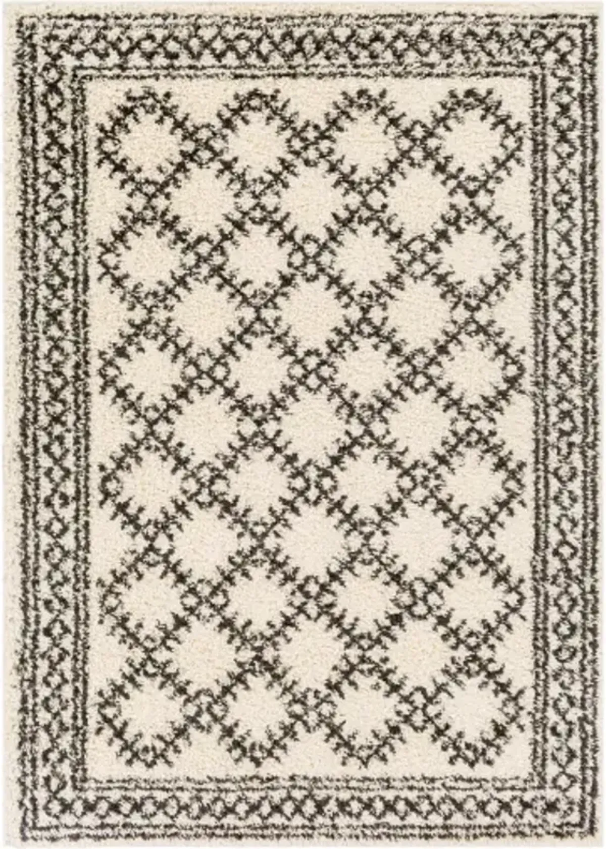 Beni shag 5'3" x 7' Rug