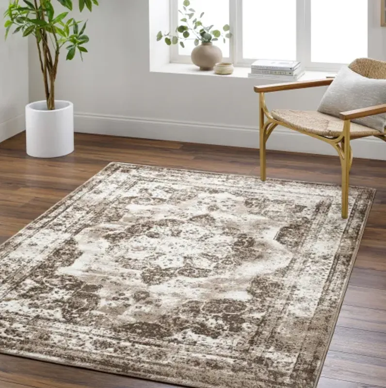 Monte Carlo MNC-2353 7'10" x 10'2" Machine Woven Rug