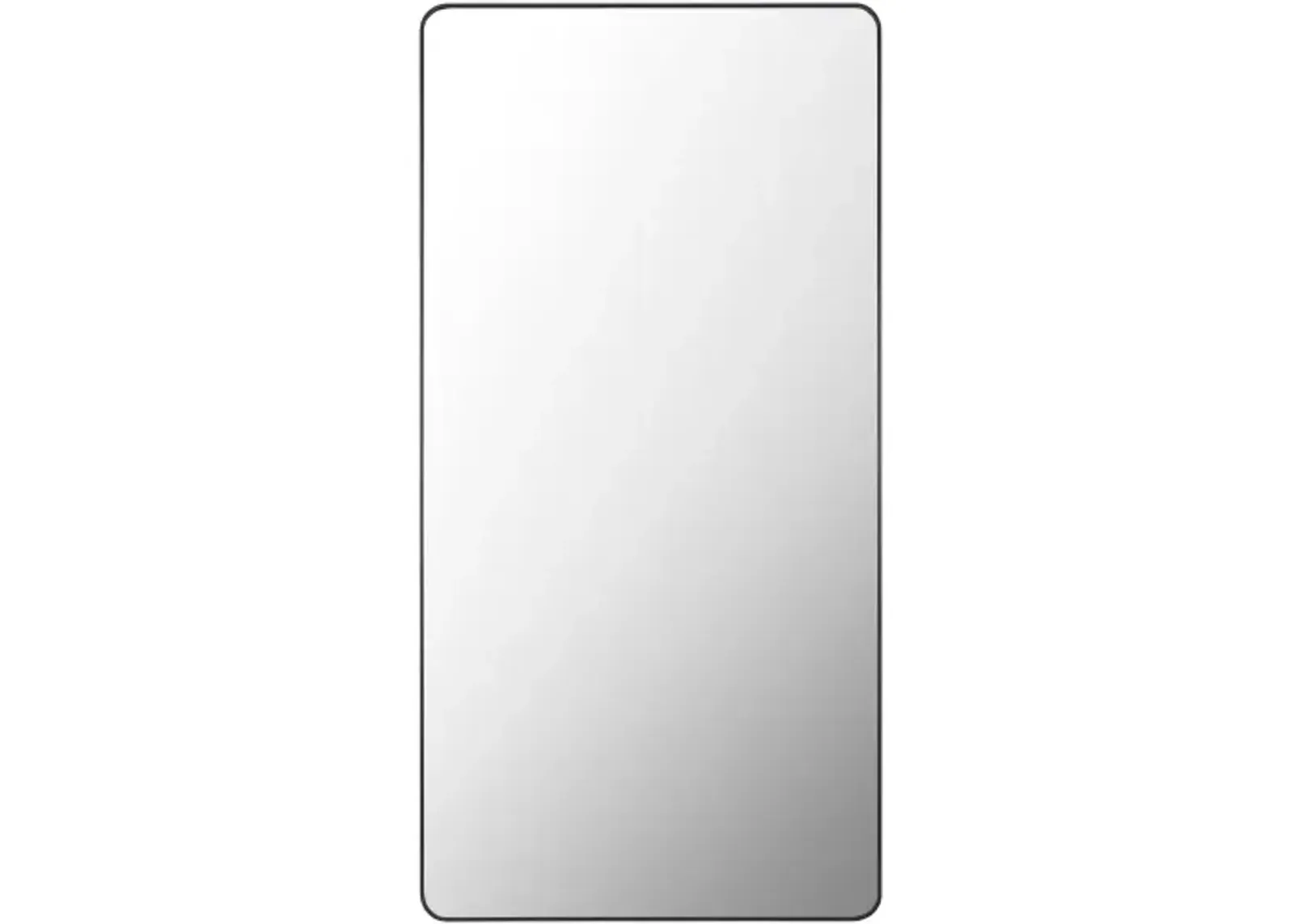 Aranya RAY-042 65"H x 22"W Mirror