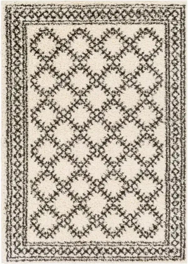 Beni shag 5'3" x 7' Rug