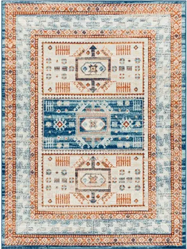 Tevazu 6'7" x 9' Rug