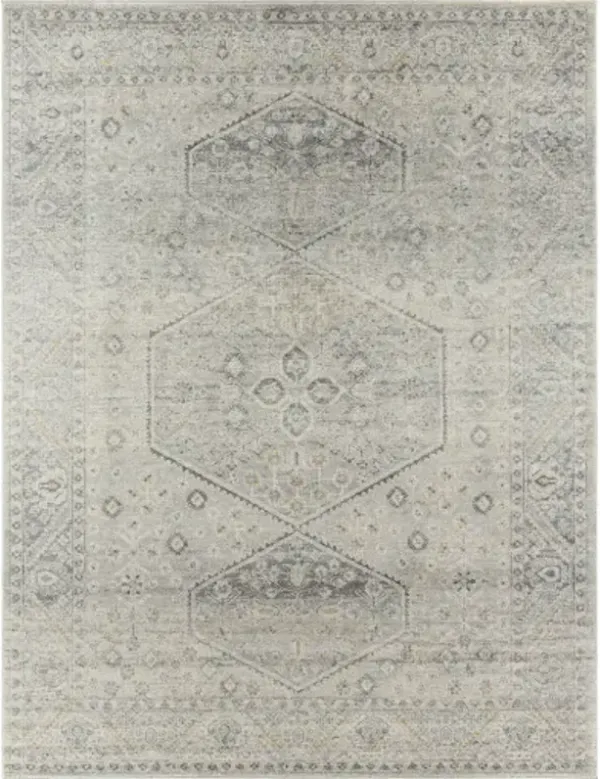 Alpharetta APH-2314 5'3" x 7' Machine Woven Rug
