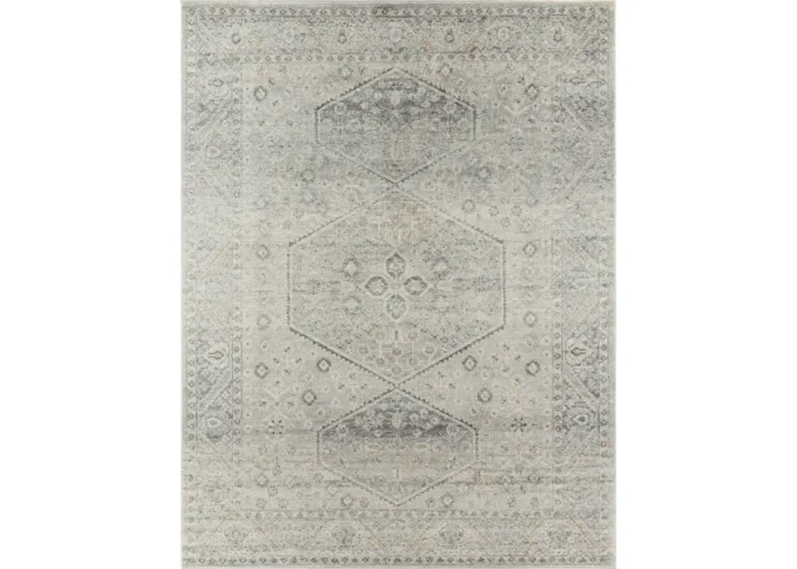 Alpharetta APH-2314 5'3" x 7' Machine Woven Rug