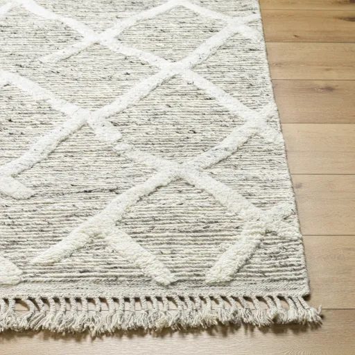 Tenerife TNF-2301 5' x 7'6" Hand Made Rug