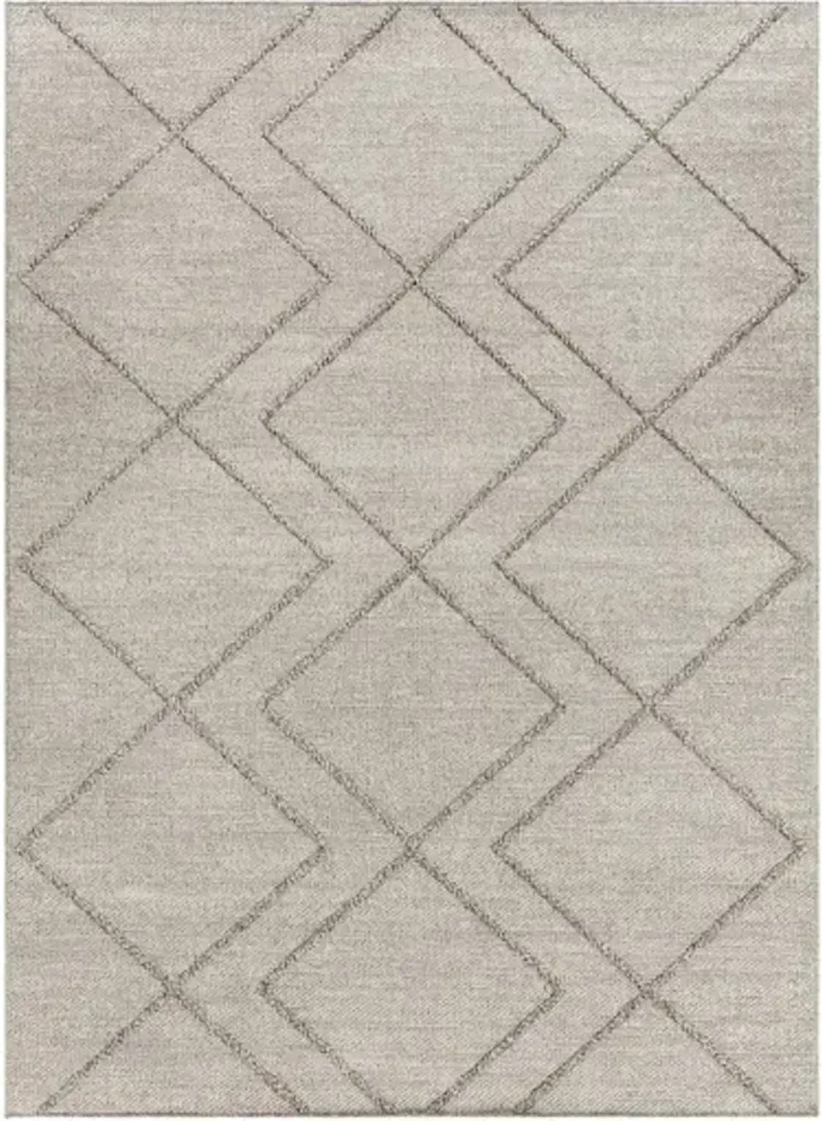 Sarasota SSO-2307 5' x 7' Machine Woven Rug