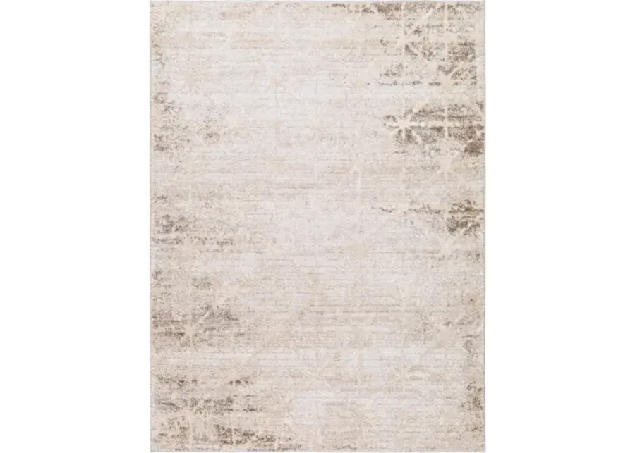 Andorra Plus ARP-2306 2' x 2'11" Machine Woven Rug