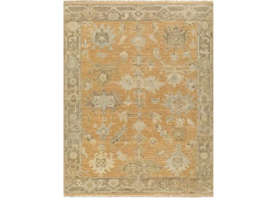 Antalya AAT-2302 10' x 14' Handmade Rug