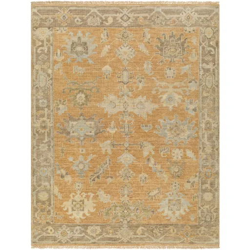 Antalya AAT-2302 10' x 14' Handmade Rug