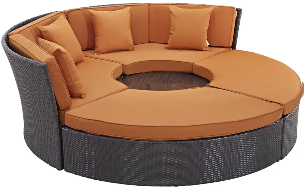 Convene Circular Outdoor Patio Daybed Set