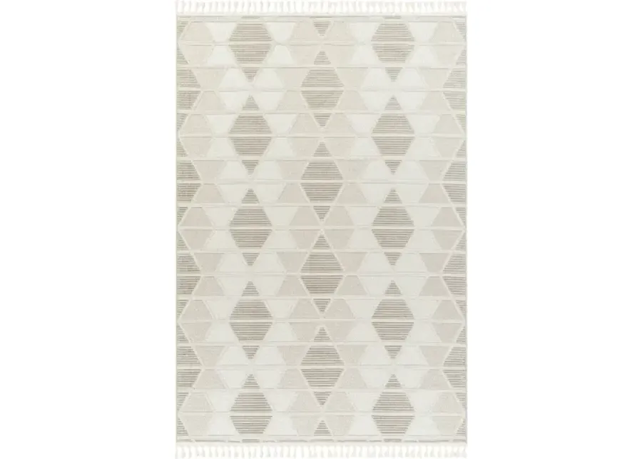 Finland FND-2301 5'3" x 7' Machine Woven Rug