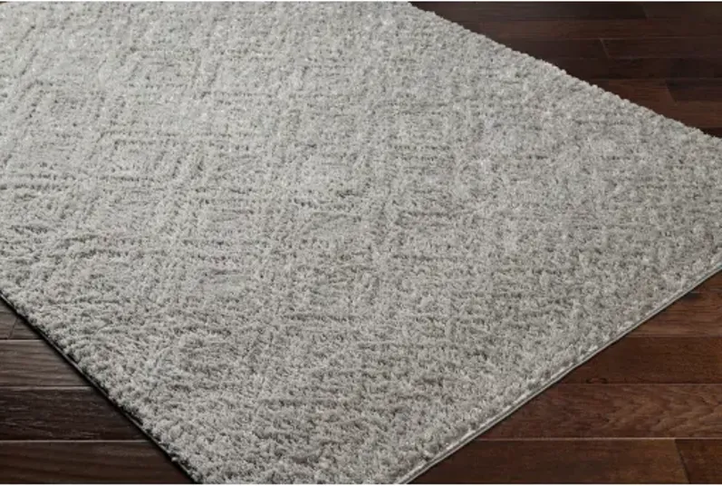 Nomadic NMC-2303 6'7" x 9' Machine Woven Rug