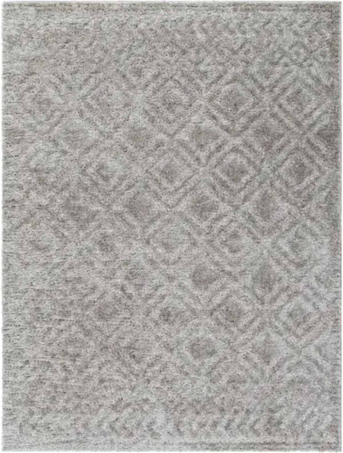 Nomadic NMC-2303 6'7" x 9' Machine Woven Rug