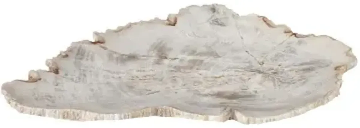 petrified wood plate