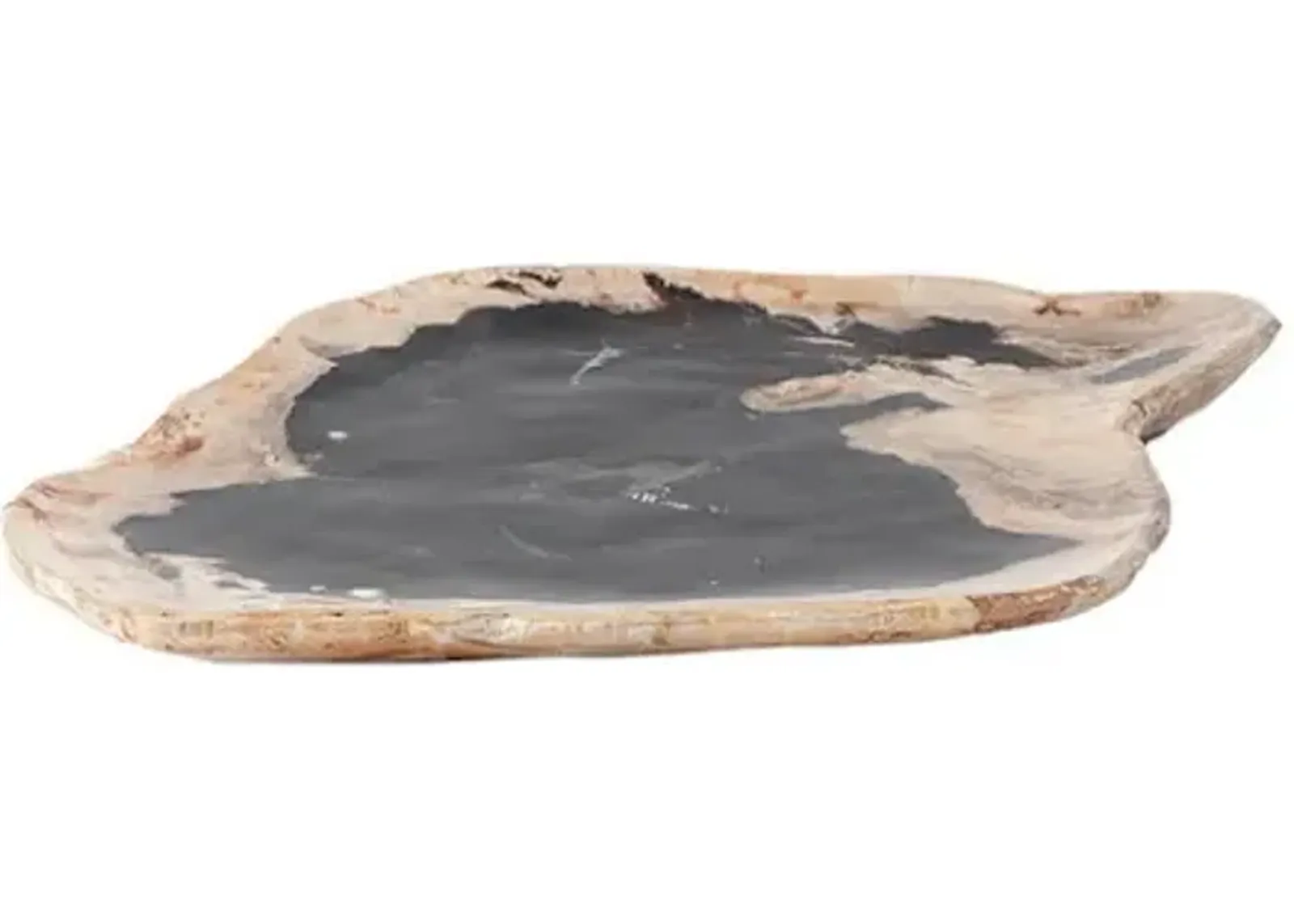 petrified wood plate