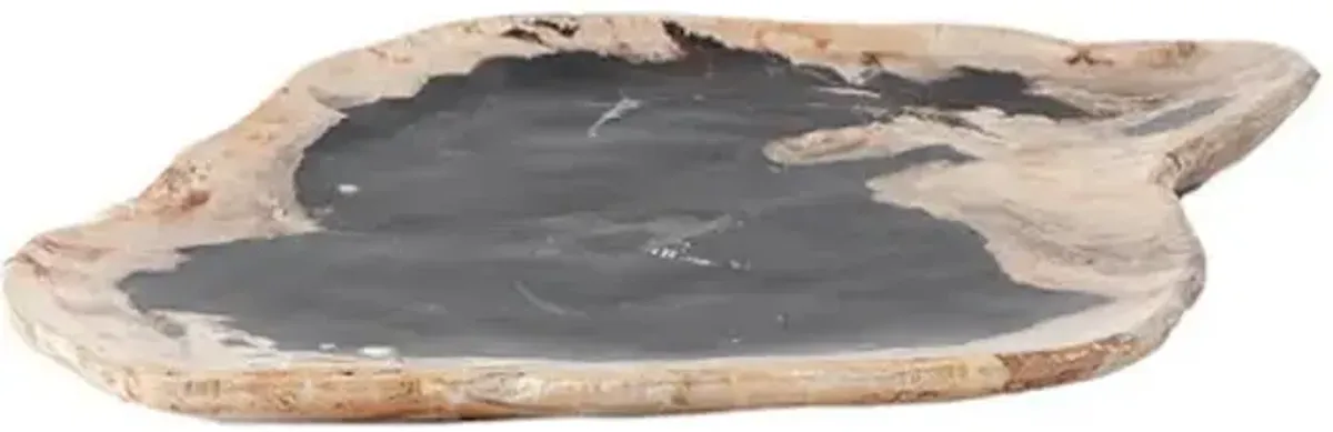 petrified wood plate