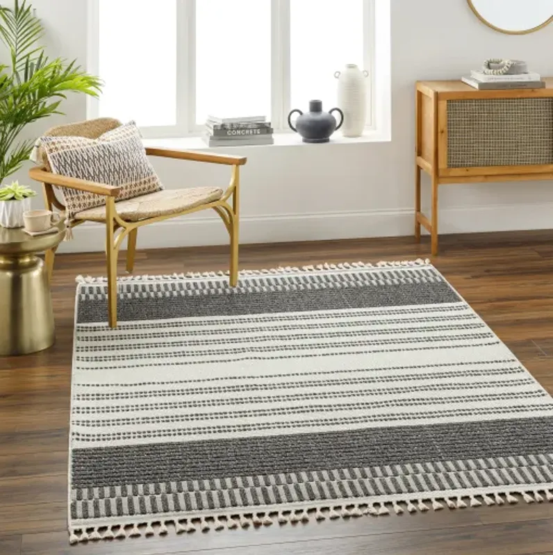 Finland FND-2305 2'2" x 3'9" Machine Woven Rug