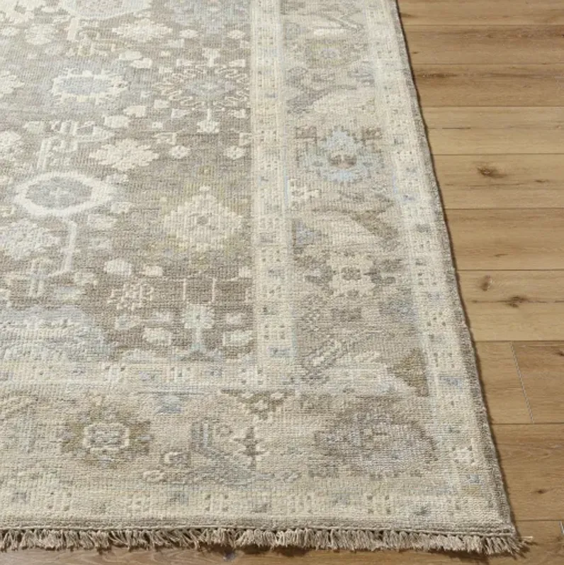 Antalya AAT-2312 8' x 10' Handmade Rug