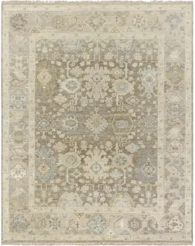 Antalya AAT-2312 8' x 10' Handmade Rug