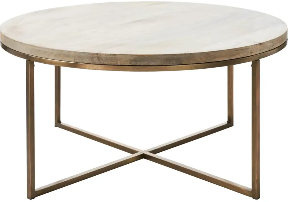 Liana Odd Shape Coffee Table