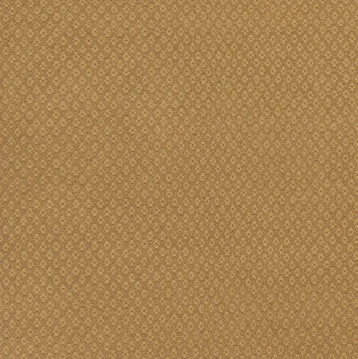 Ravena RVN-3114 2' x 3' Hand Made Rug